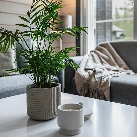 Villa Onni By Hilla Levi